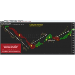 Ichimoku Cloud Course (Enjoy Free BONUS DuettoFX -simple swing strategy) 